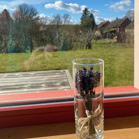 Lebenpur Bio-ferienhaus Aus Holz *