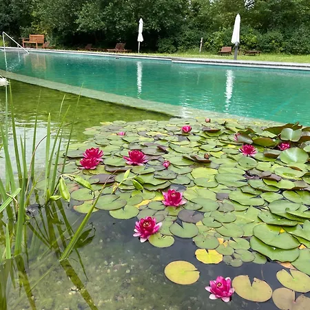 Lebenpur Bio-ferienhaus Aus Holz Moor-Rolofshagen